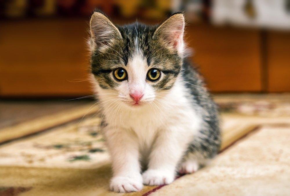 Photograph by Устюжанин Михаил