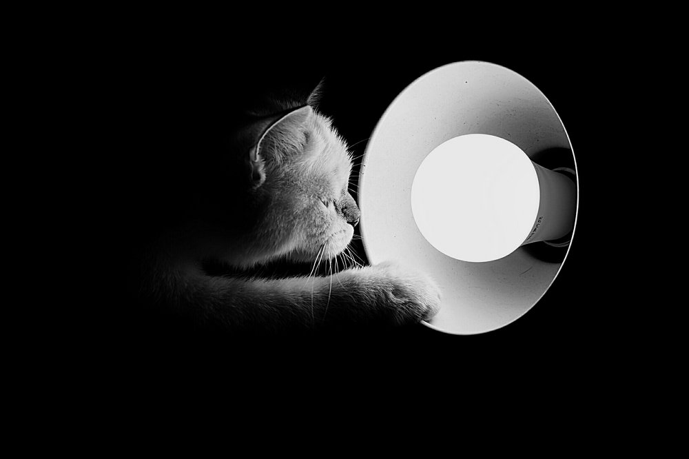 Photograph by Анжелика Гулина