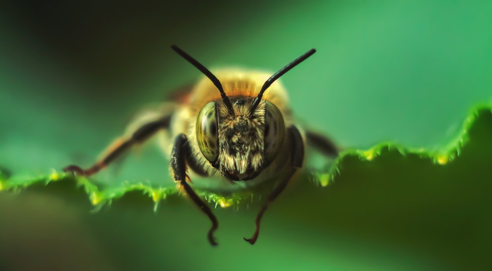 Photograph by Александр Молотков