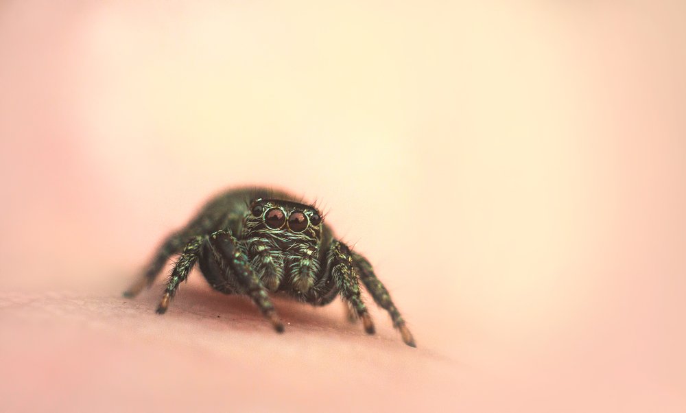 Photograph by Александр Молотков