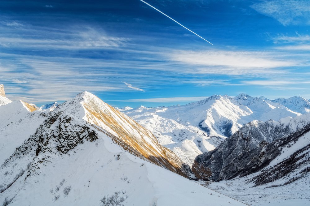 Photograph by Елена Ковалева