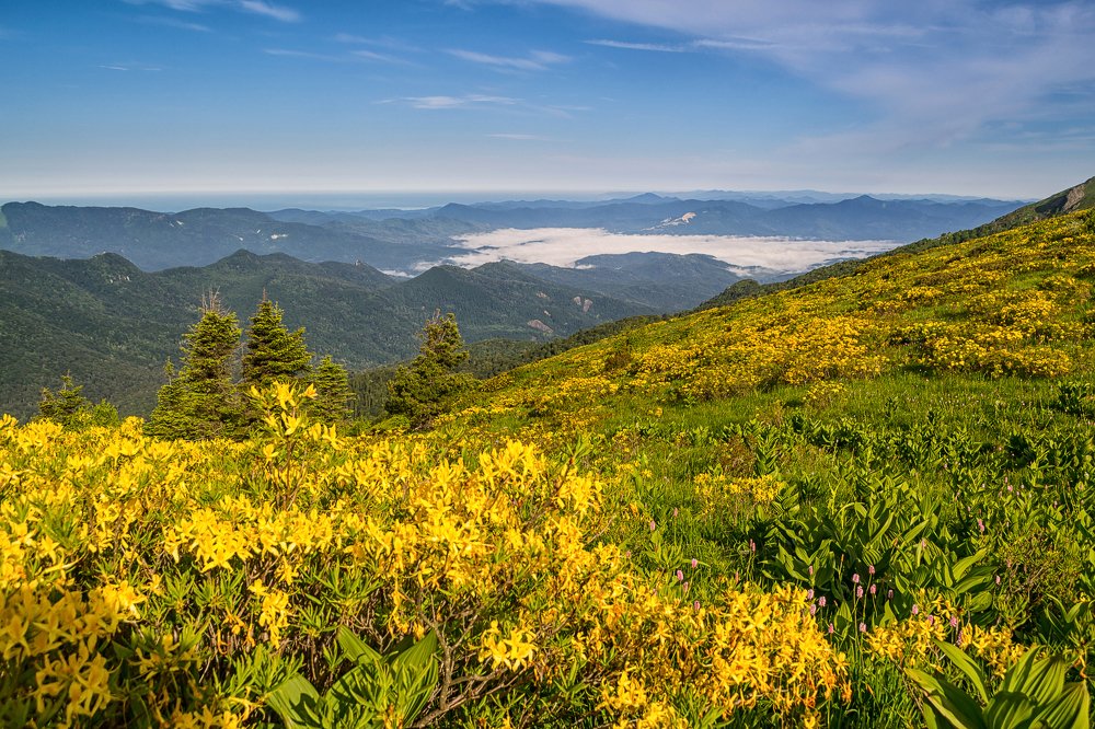 Photograph by Елена Ковалева