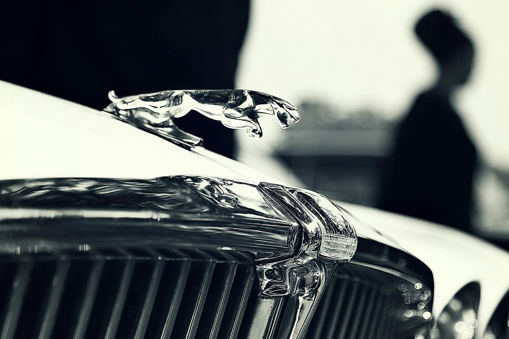 Photograph by Анжелика Гулина