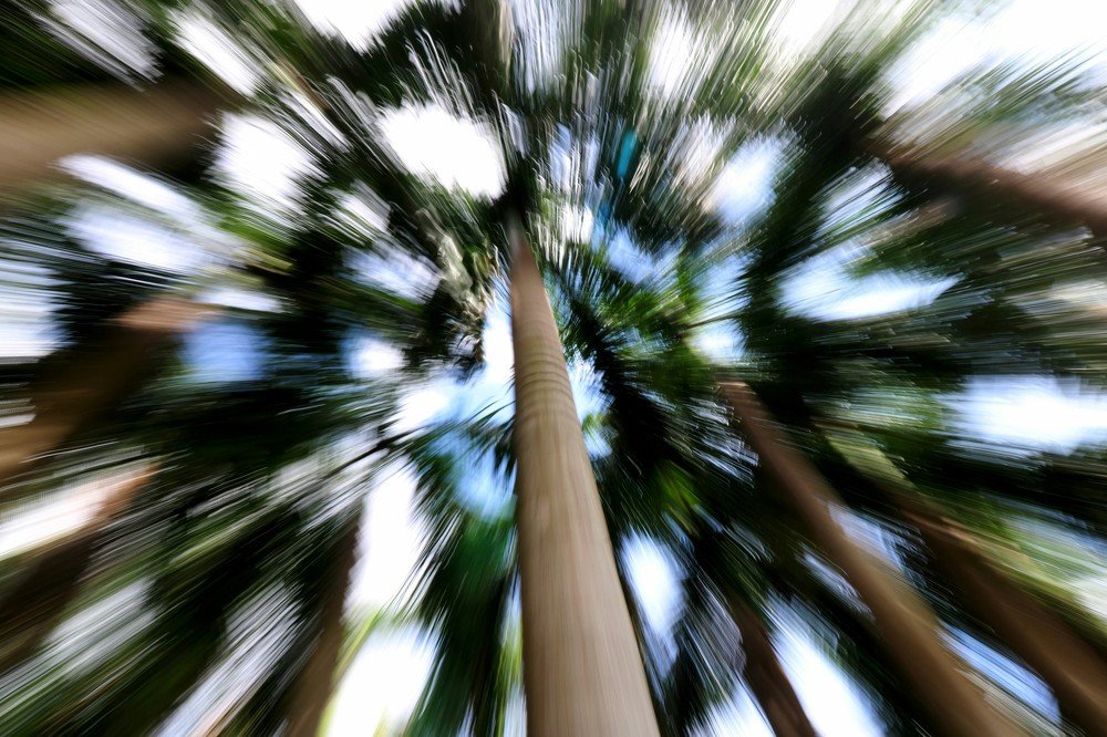 Don't forgot to look up