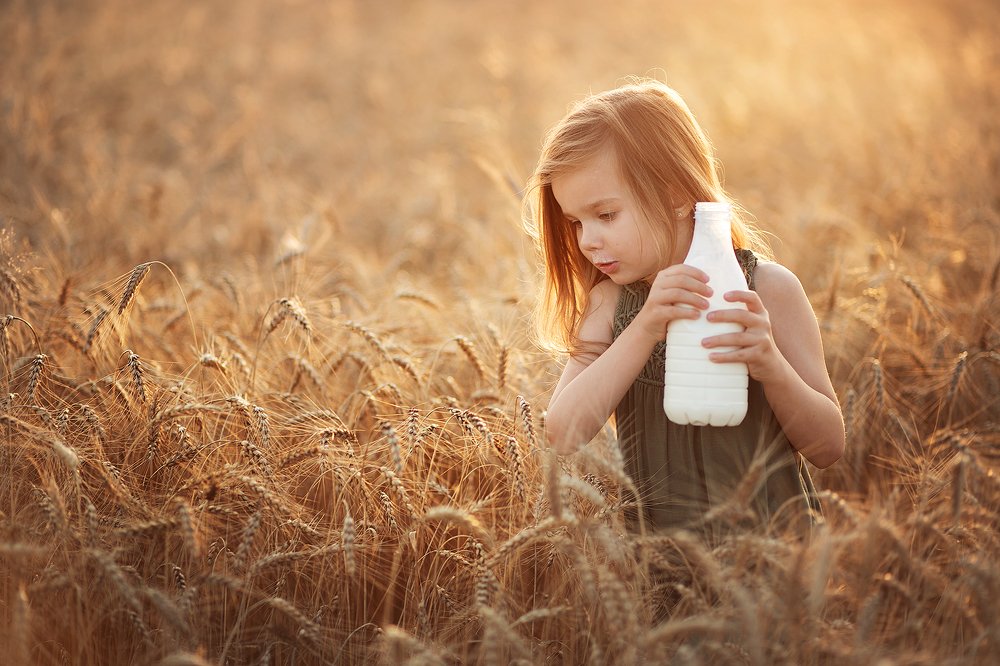 Пшеничное море