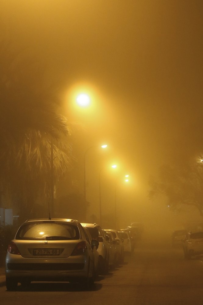 Photograph by Анжелика Гулина