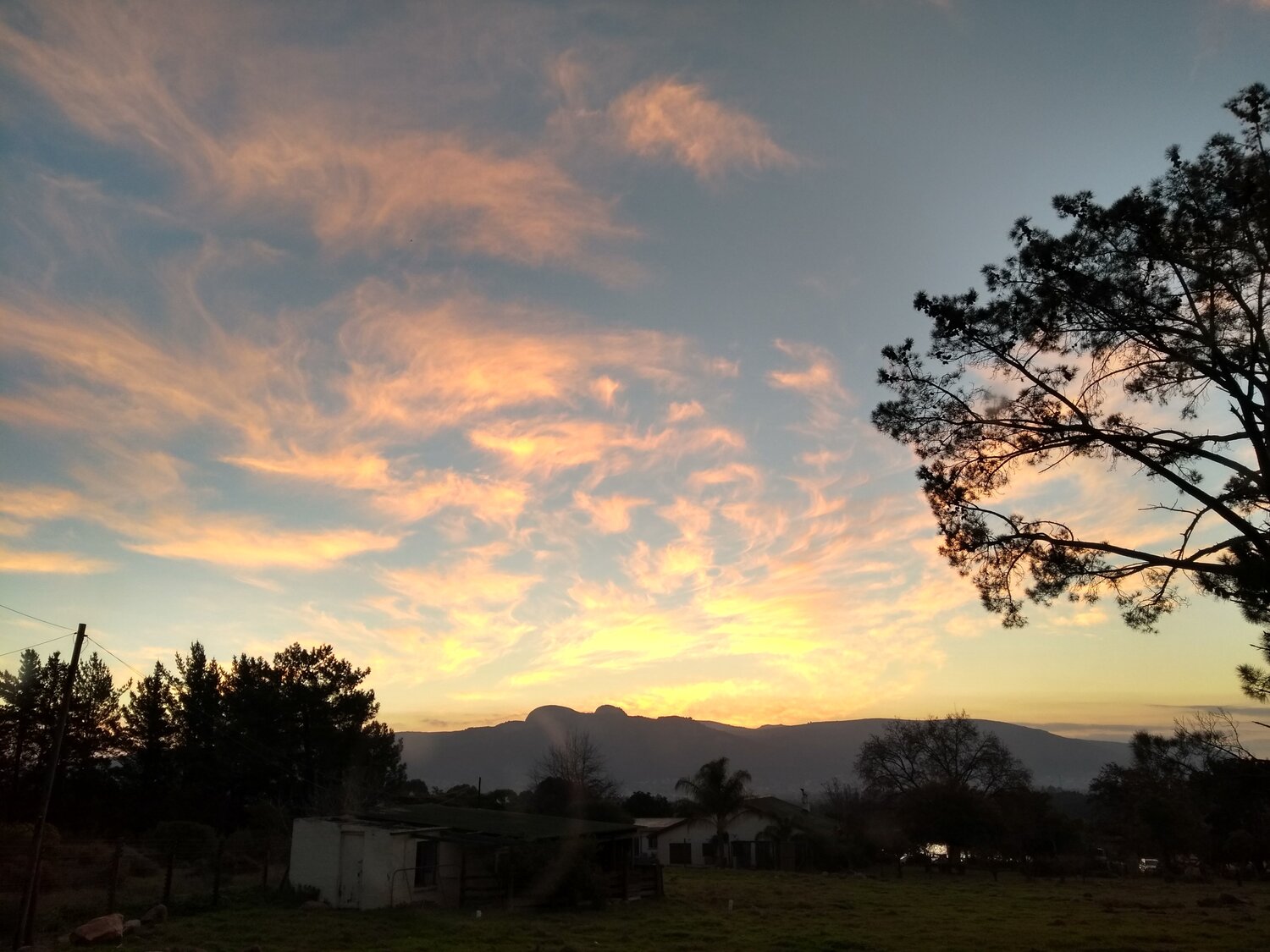 African Dusk