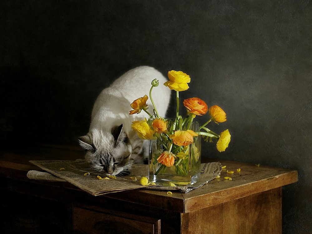 Photograph by Анжелика Гулина