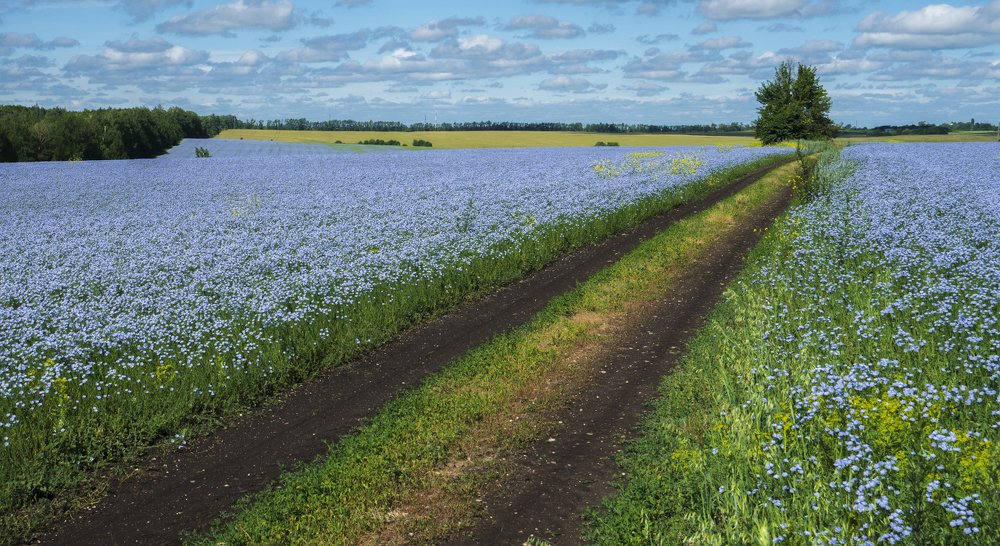 Photograph by Игорь Кляхин