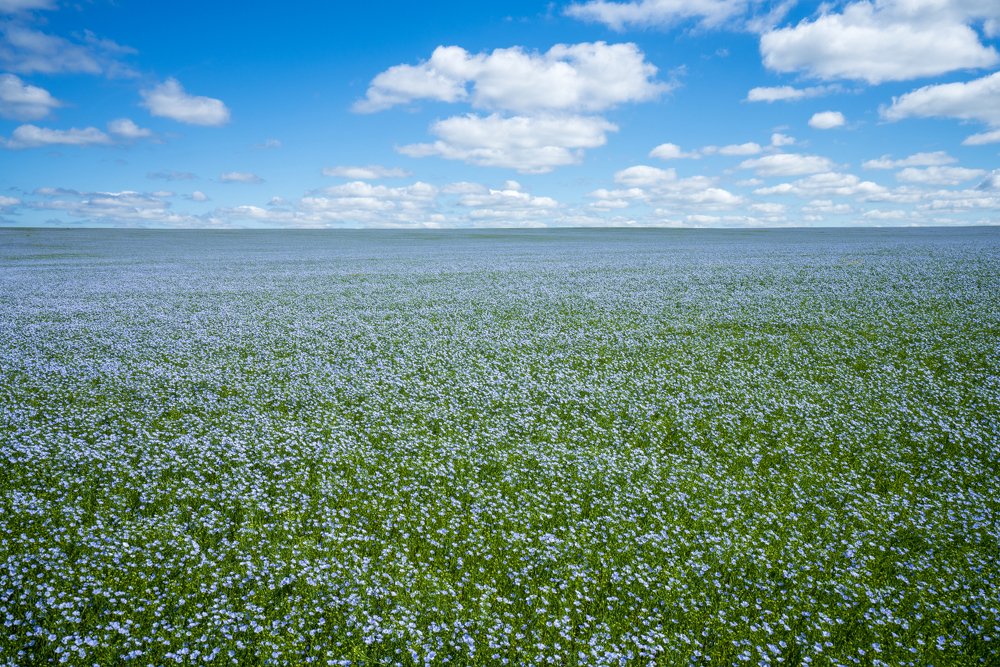 Photograph by Игорь Кляхин