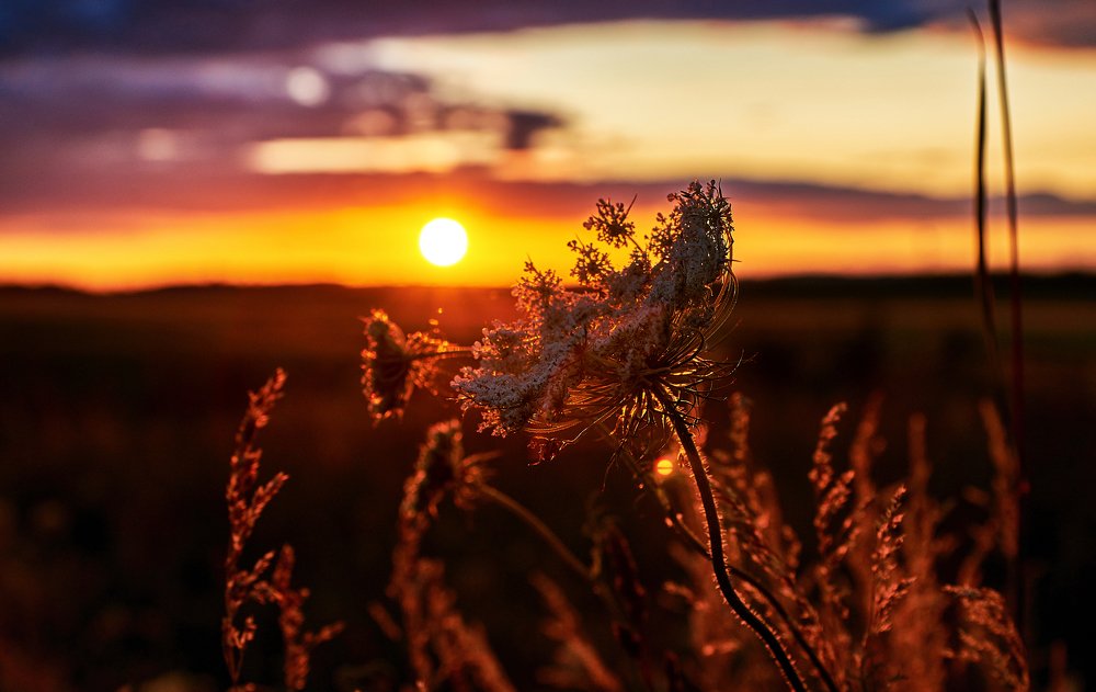 Photograph by Екатерина Коломыцева