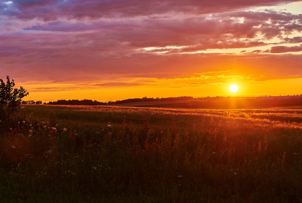 Photograph by Екатерина Коломыцева