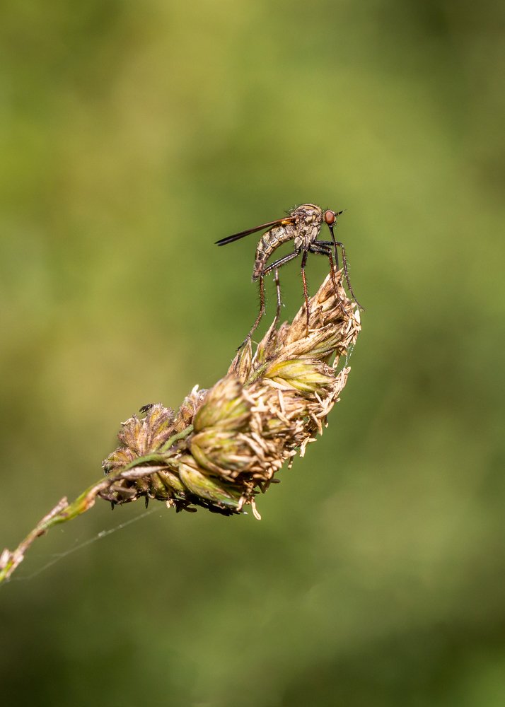 Photograph by Anatoly Chomko