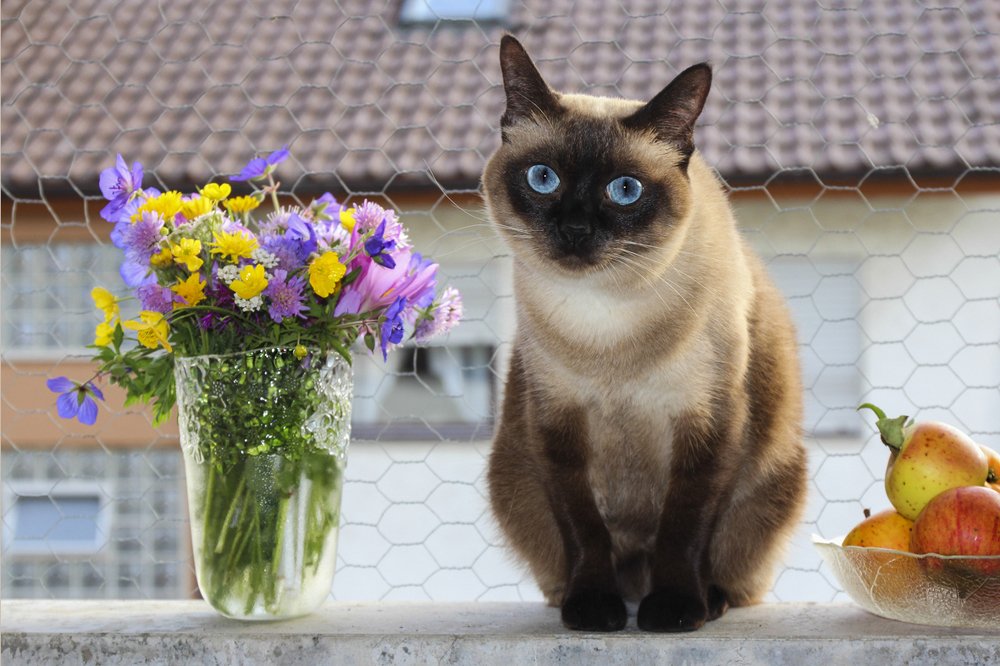 Эти глаза напротив.....