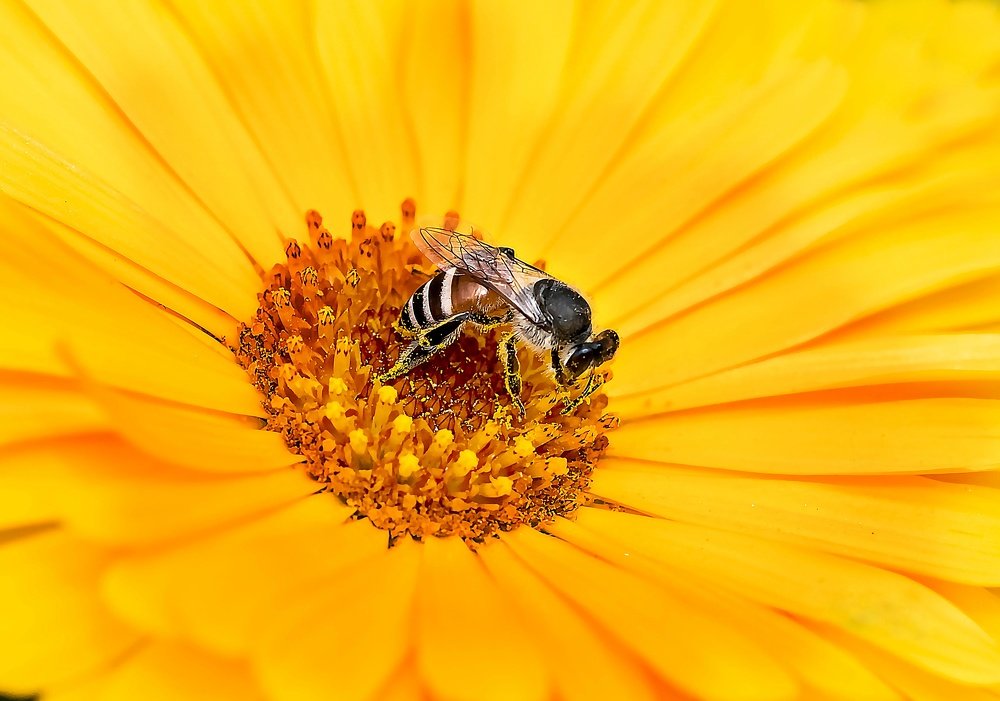 Фотография автора ziba alirezaei58
