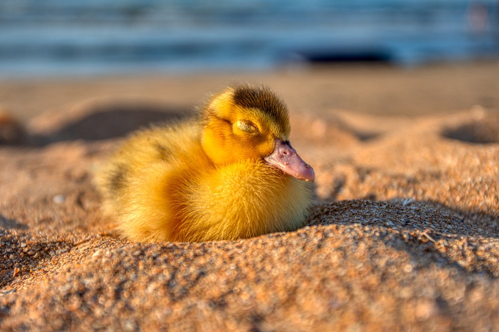 Photograph by Юлия Шумляева