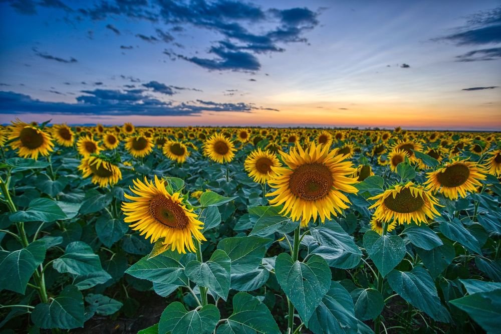 Photograph by Юлия Шумляева