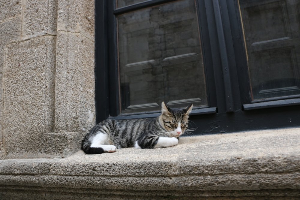 Photograph by Арутюнян Ануш