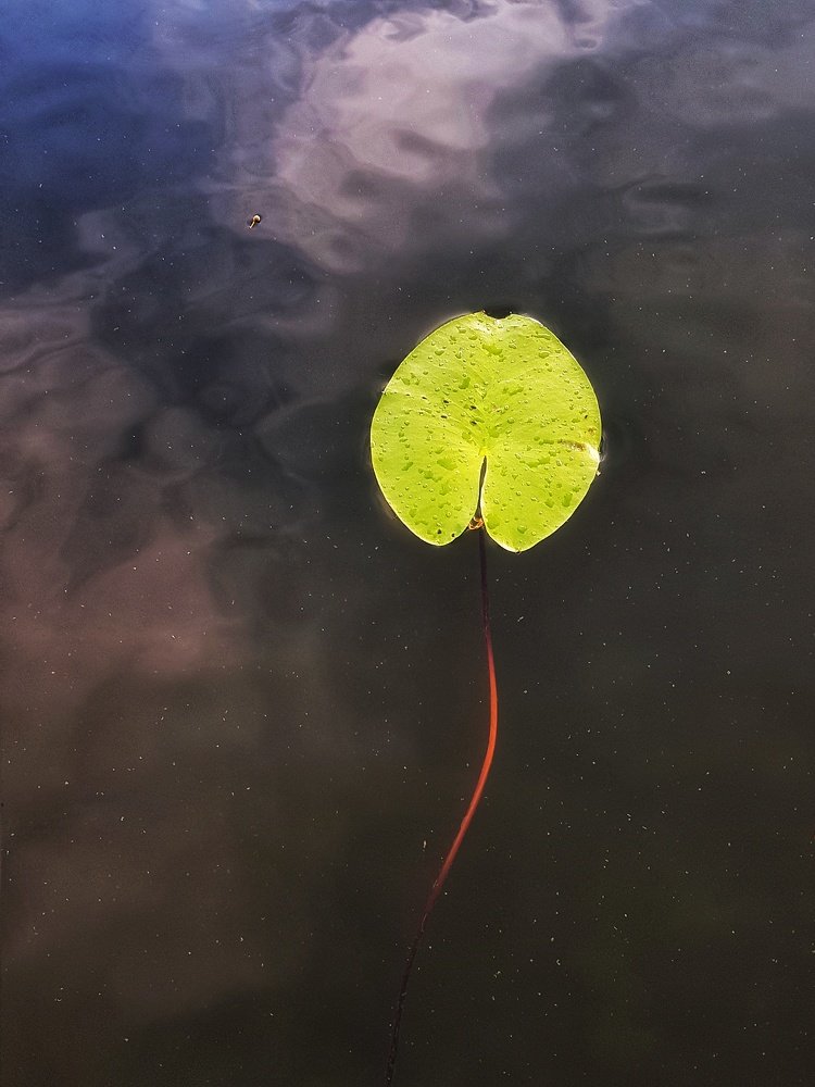 Photograph by Marcin Sokolowski - maarew