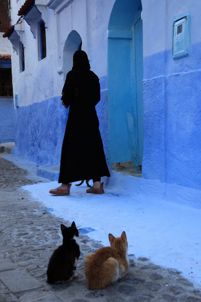 А вдруг повезет