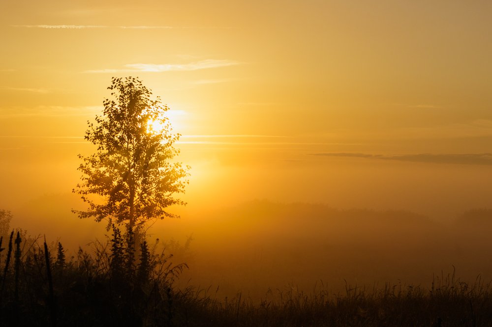 Фотография автора Андрей Серый