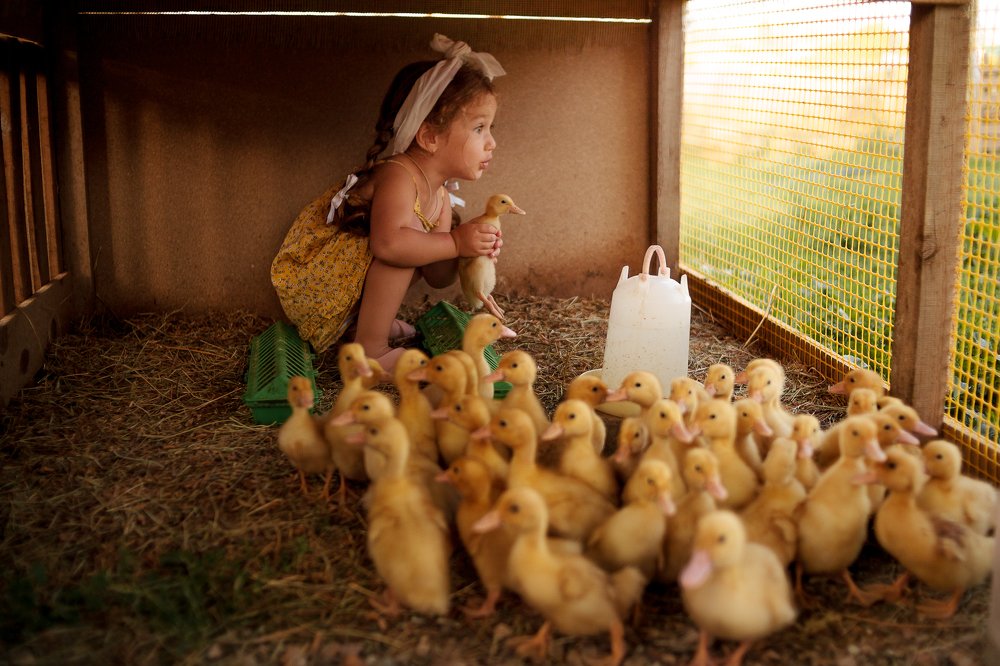 Фотография автора Евгения Ружанская