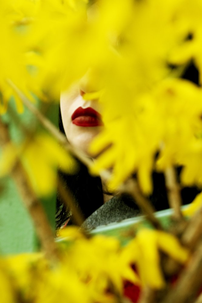 Photograph by Виктория Лихолет