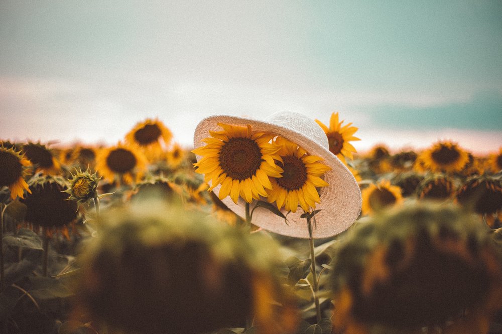 Photograph by Олександр Сабо