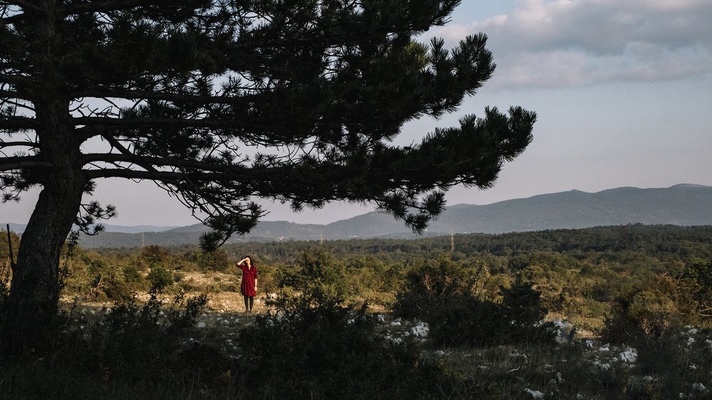 красный акцент