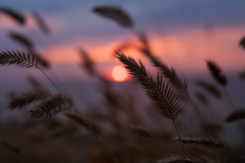 Фотография автора Евгения Ружанская