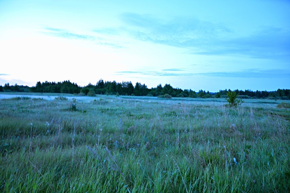 Photograph by Алексей Епишин