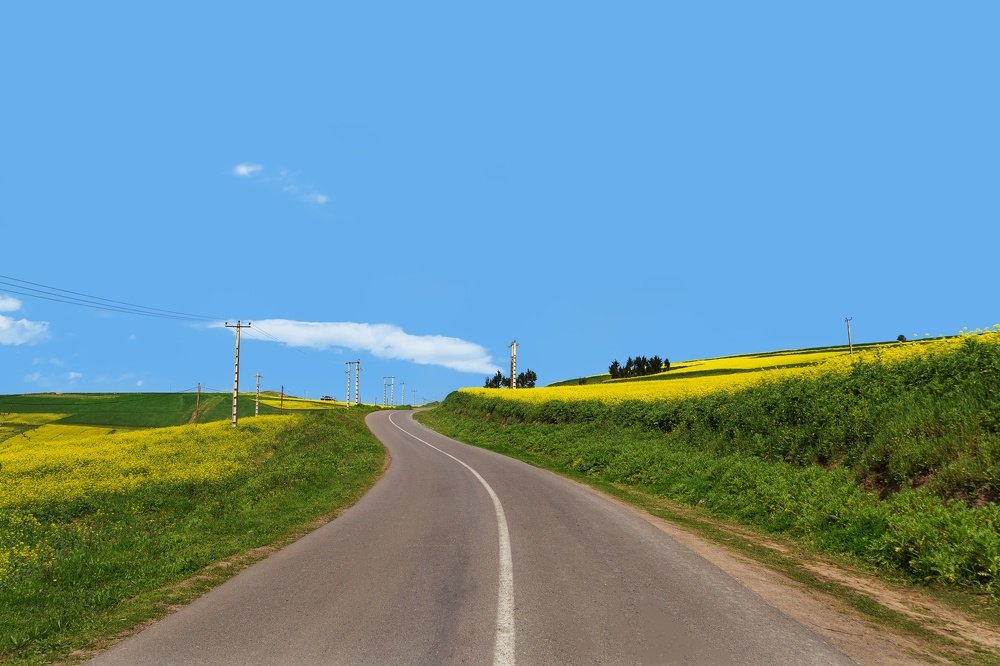 Photograph by Saeed Mamdouhi