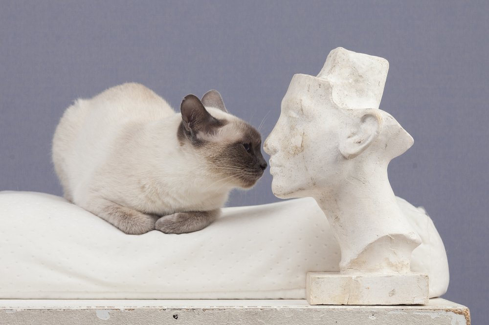 Вечные ценности