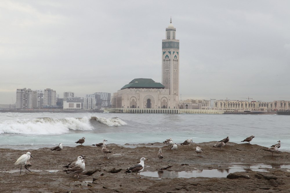 встреча с Марокко