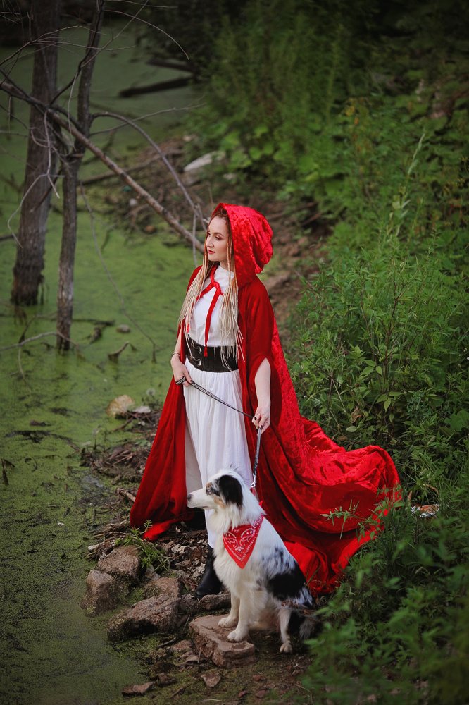 Красная шапочка в лесу