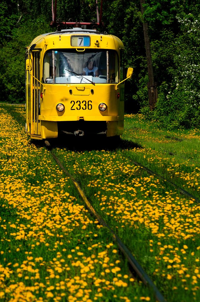 Жёлтый трамвай.