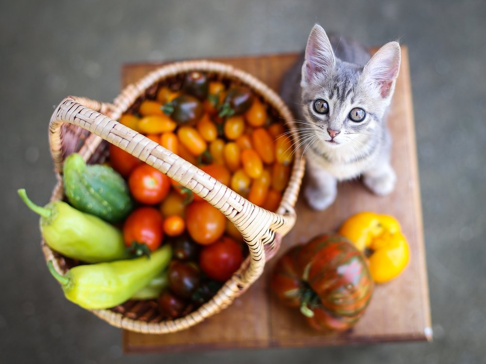 А мясо будет?