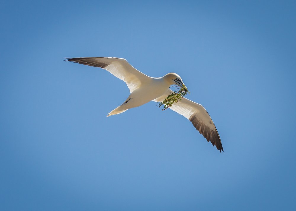 Photograph by Anatoly Chomko
