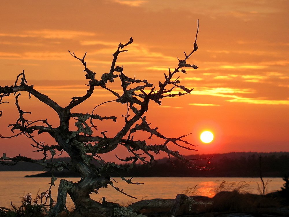 Photograph by Александр Авдушев