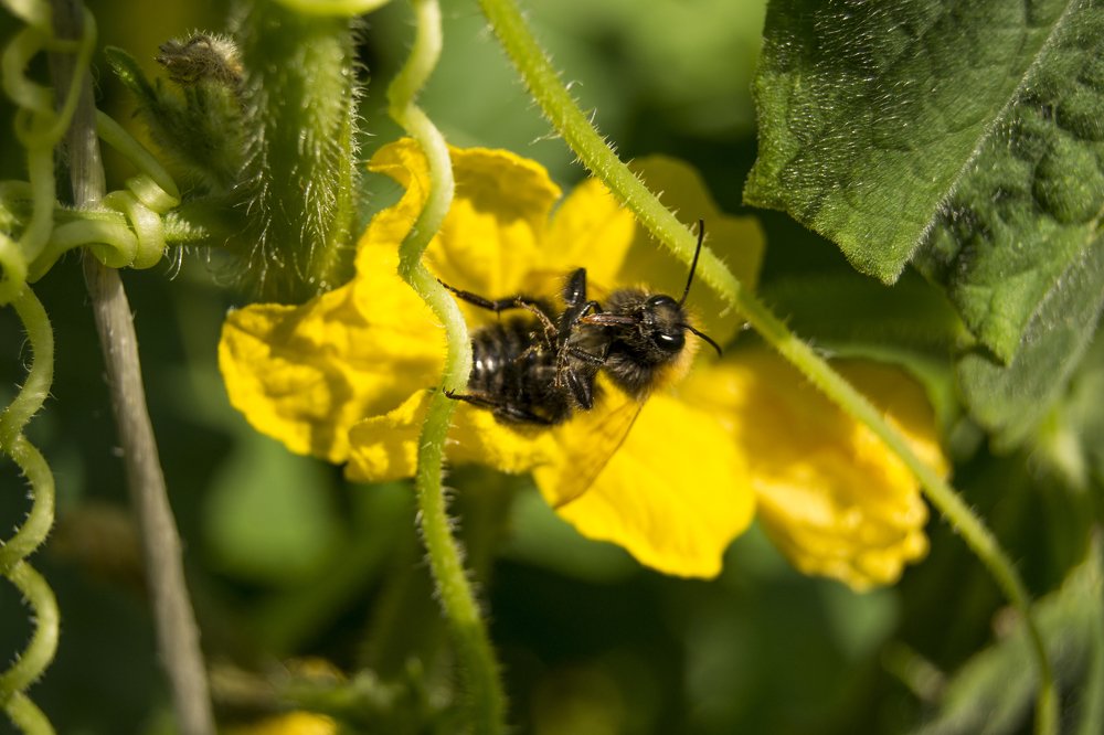 Photograph by Мария Коробова