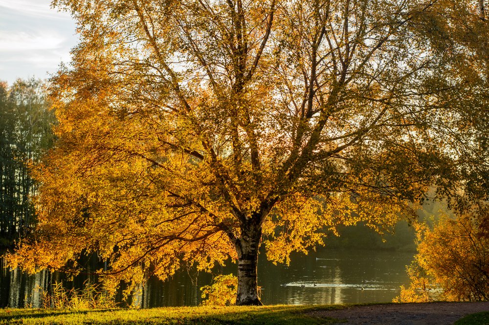 Photograph by Nau-Nau