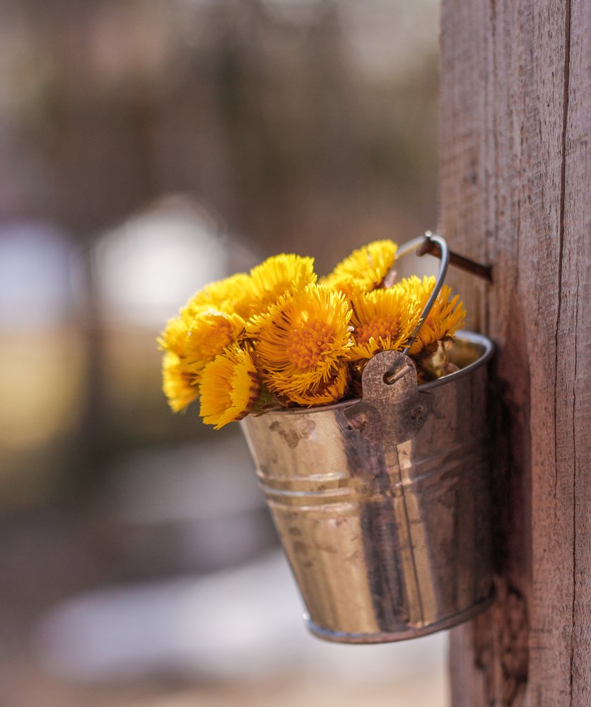 Photograph by Елена Никишина