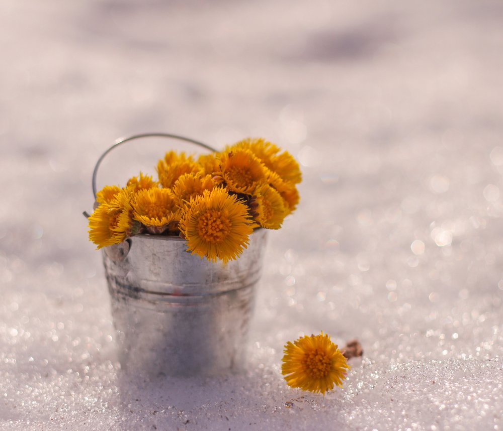 Photograph by Елена Никишина