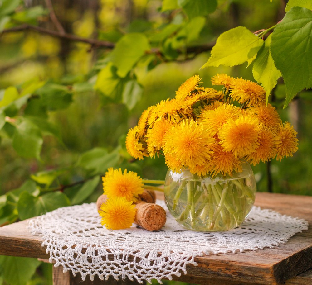 Photograph by Елена Никишина