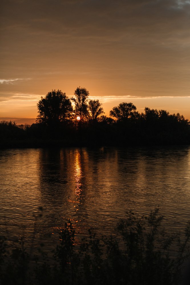 солнечный привет