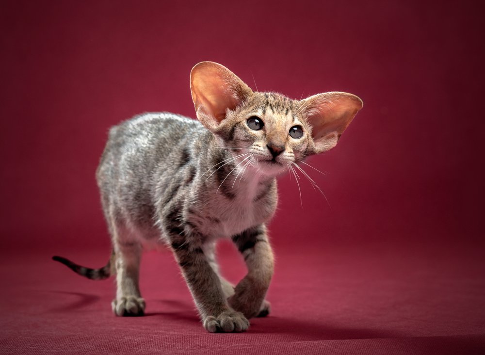 Photograph by Ирина Карпова