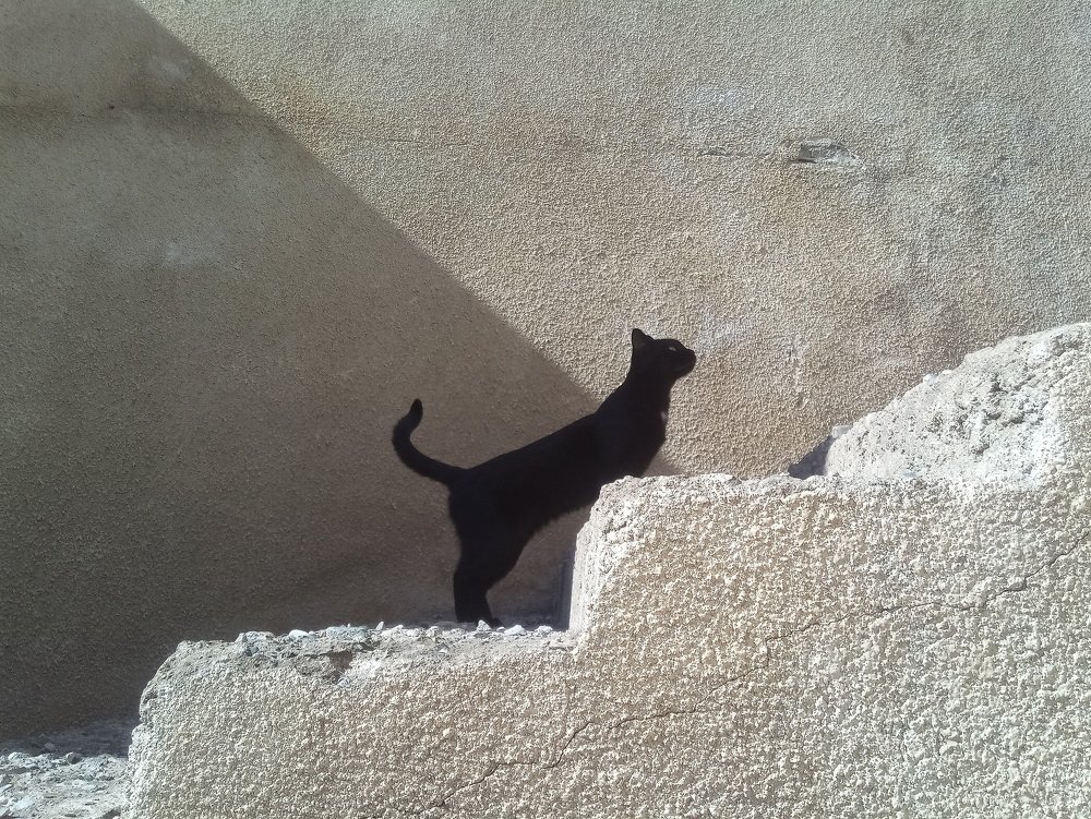 Photograph by Геворг Тоноян