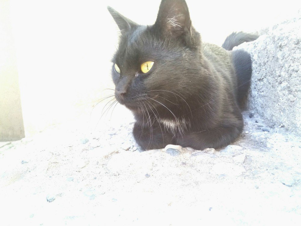 Photograph by Геворг Тоноян