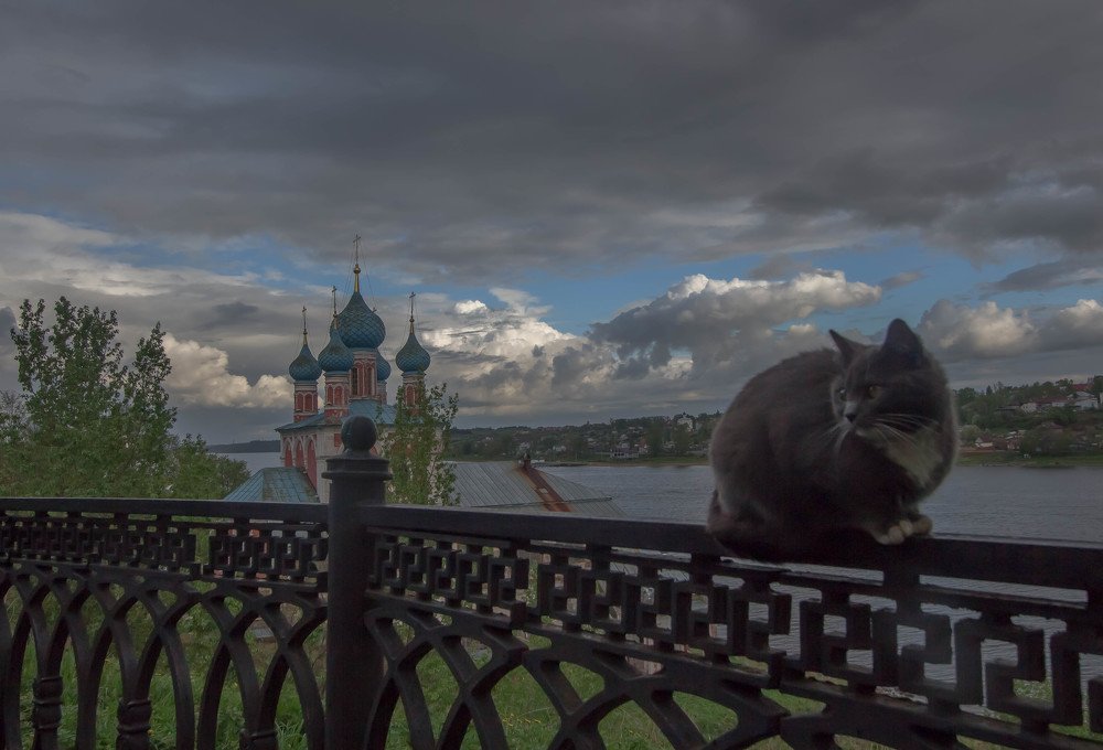 Тутаев