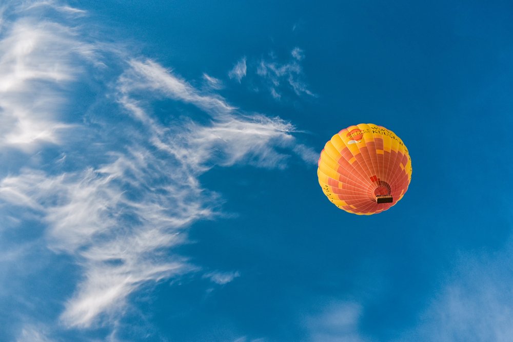 Небесная птица